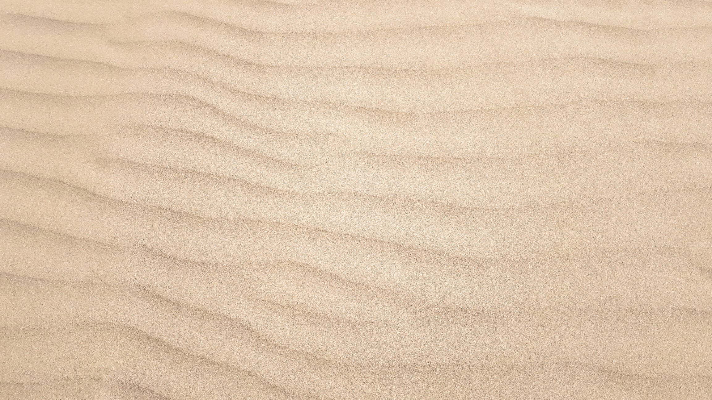 Sand Dune Ripples